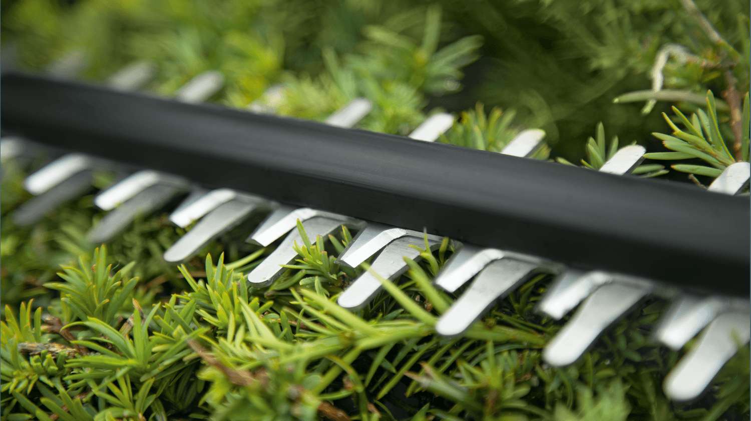 Laser-cut, Diamond-ground blades