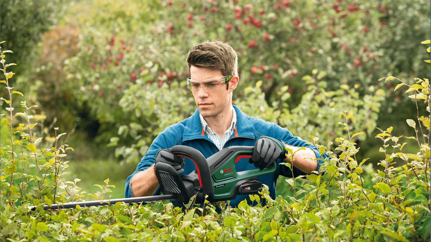 Smooth trimming of medium-sized hedges