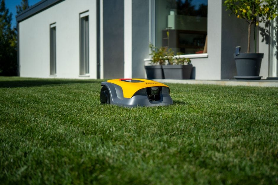 Perfect lawn results