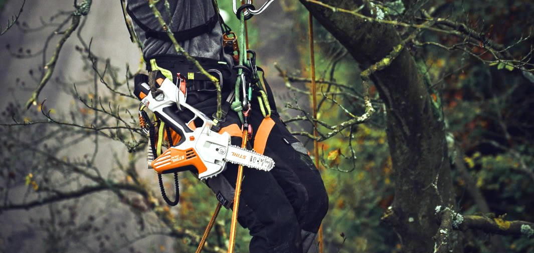 Stihl HSA 50 Cordless Hedge Trimmer Power Unit