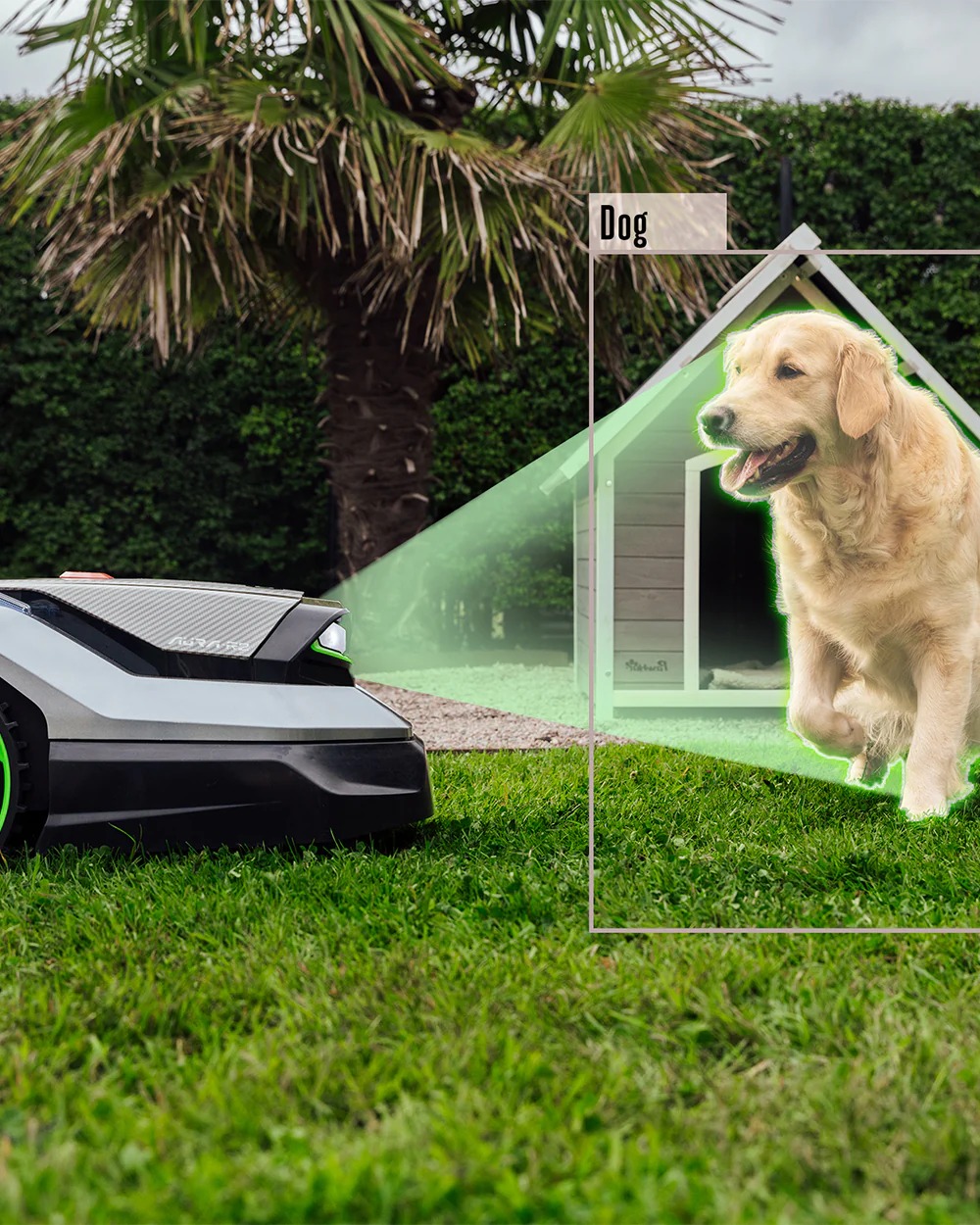 AURA-R2 takes in every detail of the world around it with Visual Simultaneous Localisation and Mapping (VSLAM). Using its binocular camera and advanced vision technology, it builds a map of your lawn.